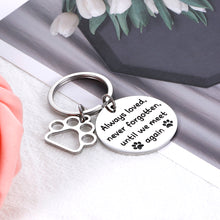 将图片加载到图库查看器，Eunigem Pet Loss Gifts Dog Cat Memorial Keychain Dog Sympathy Remembrance Gifts for Dog Owner Jewelry Keychains with Pawprint
